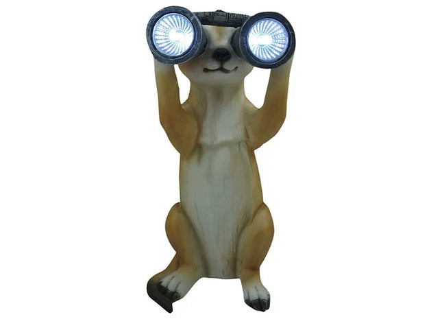Solar Meerkat With Binoculars