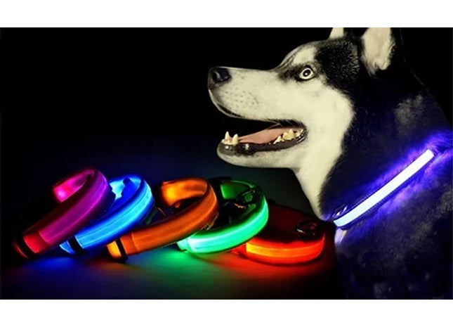 Adjustable LED Dog Collar
