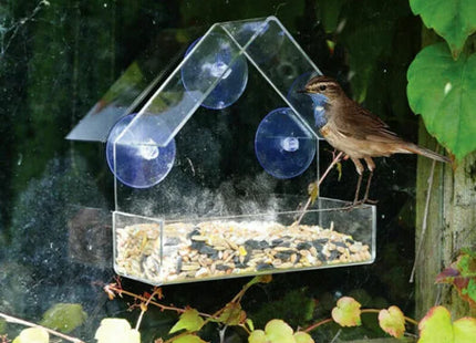 Window Bird Feeder
