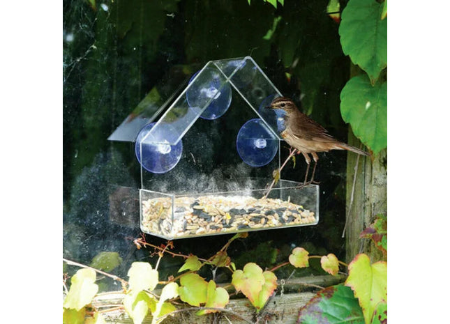 Window Bird Feeder