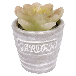 Potted Flower Candle