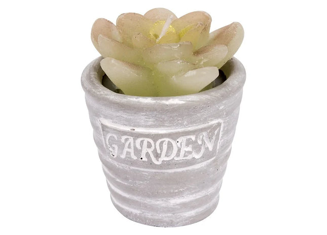 Potted Flower Candle