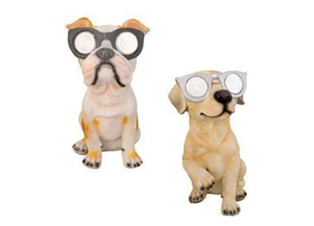 Solar Dog Light
