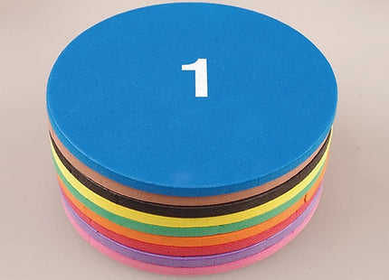51-Piece Maths Fraction Counting Chips Set
