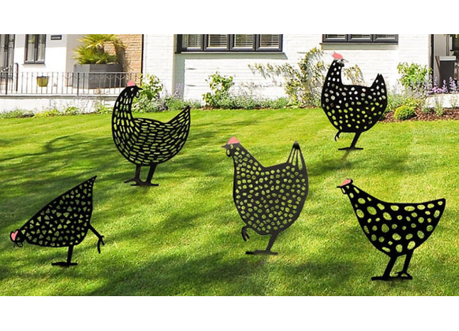 Pack of Cute Garden Chicken Ornaments