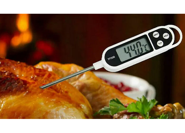 Digital Celsius & Fahrenheit Food Thermometer