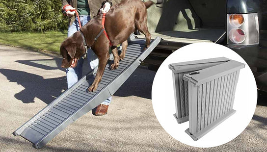 Dog Car Ramp